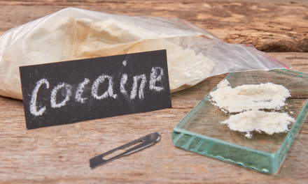 €108 miljun f’kokaina tinqabad fil-Free Port