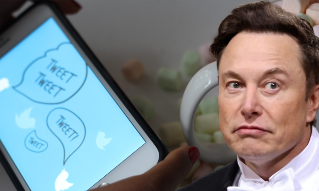 L-azzjonisti ta’ Twitter japprovaw ftehim ta’ $44 biljun ma’ Musk