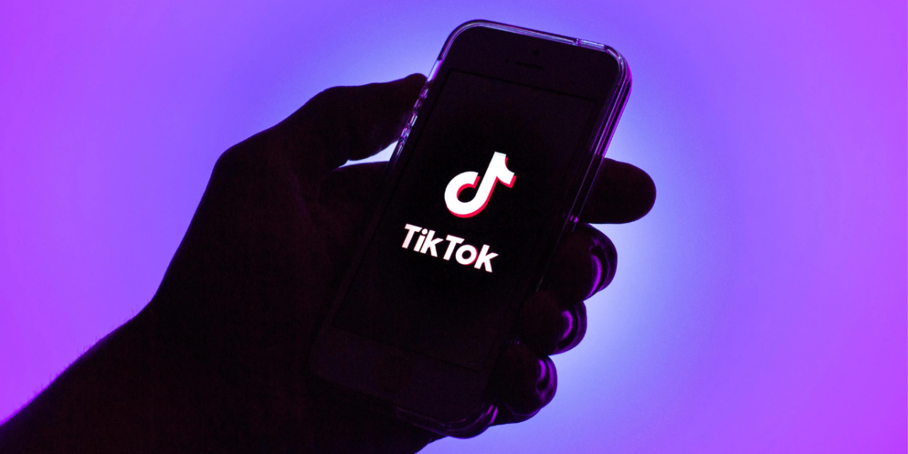 TikTok Sues to Prevent U.S. Ban