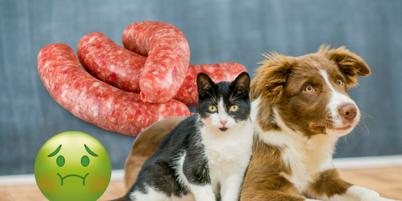 The Truth: Cats and Dogs Made into Sausage in Gozo