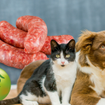 The Truth: Cats and Dogs Made into Sausage in Gozo