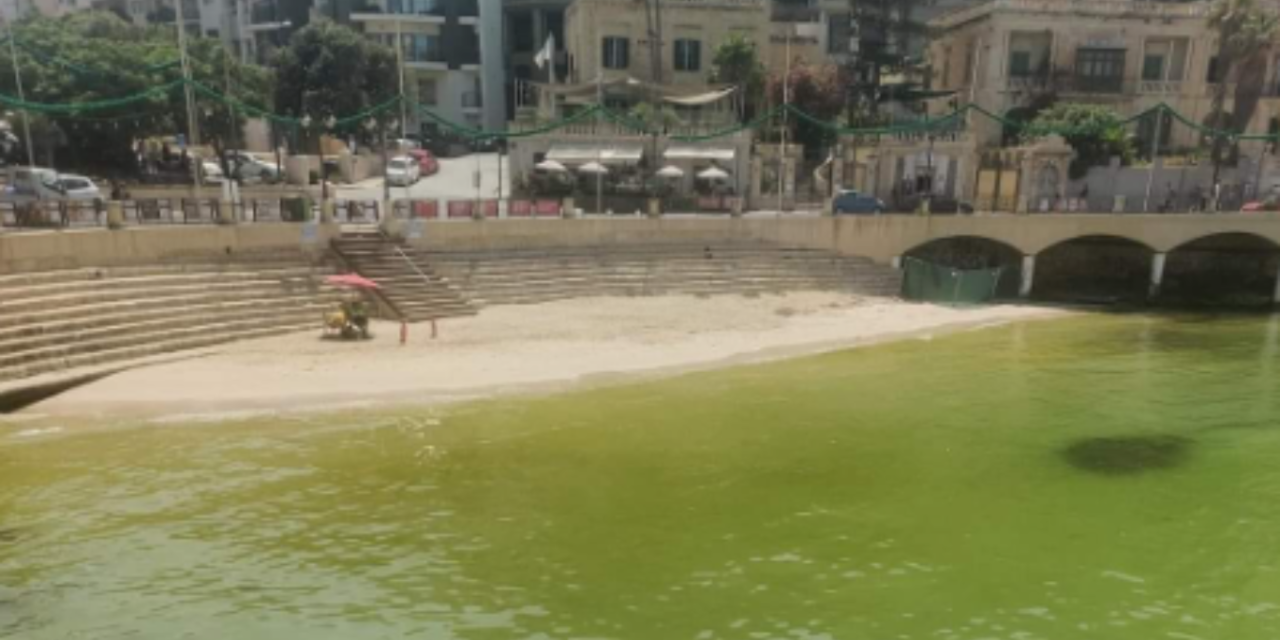 Green Waters Spark Outrage in Malta’s Bays