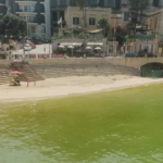 Green Waters Spark Outrage in Malta’s Bays