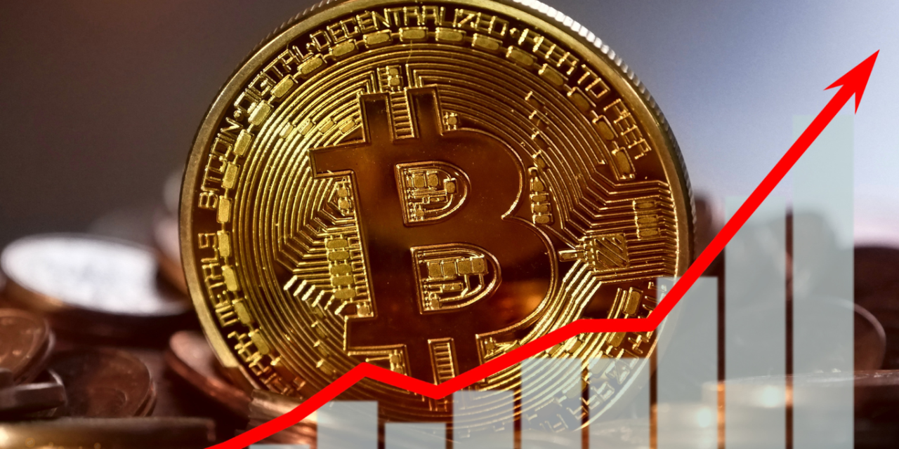 Bitcoin Set to Soar: Could Reach $100,000 by Year-End