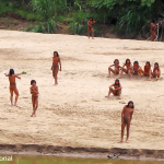 Uncontacted Tribe in Peruvian Amazon Faces Logging Threat