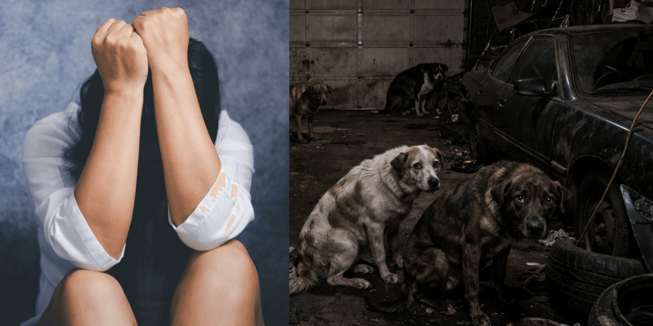 Birżebbuġa Man Charged With Rape in Dog-Filled Garage 