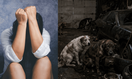 Birżebbuġa Man Charged With Rape in Dog-Filled Garage 